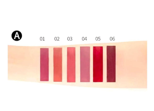 6 Colors Long Lasting Velvet Liquid Lipstick